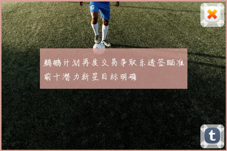 鹈鹕计划再度交易争取乐透签瞄准前十潜力新星目标明确